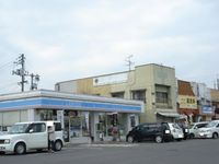 レオネクストルミナーレⅡ 周辺環境