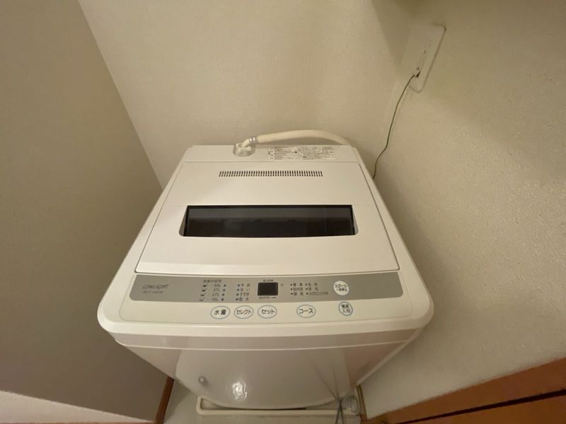 leopalace Christmas Rose Khác