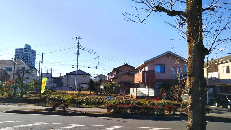 レオネクストセレッサⅡ 眺望