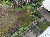 レオパレスアリーナ バルコニー