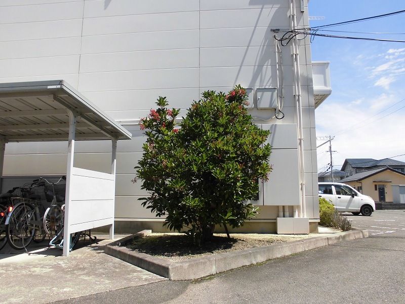 レオパレス中屋敷Ｂ 庭