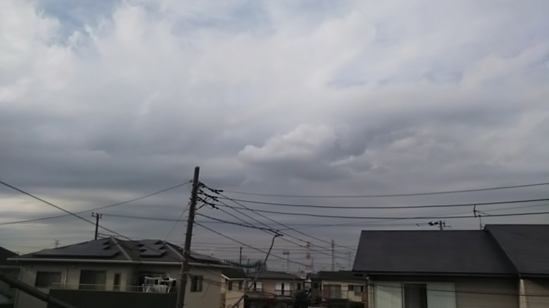 leopalace Grand Fleur 视野