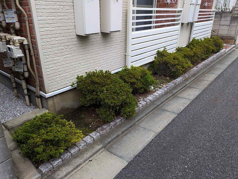 レオネクストさくら 共用部分