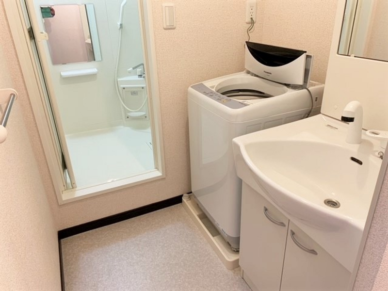 レオネクストリュウトピア 洗面所