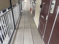 レオパレス大堀Ⅱ その他
