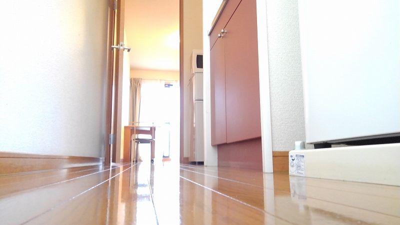 レオパレスエンブリオステム 玄関