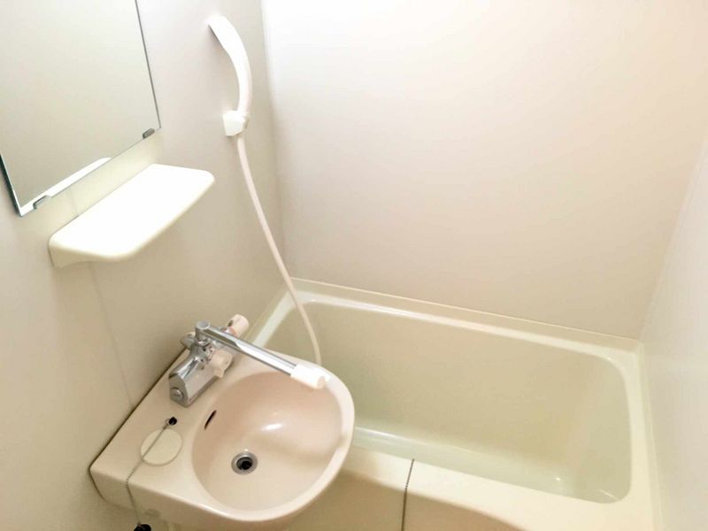 leopalace Koi Bathroom