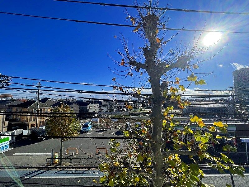 leopalace Tatsumi House View