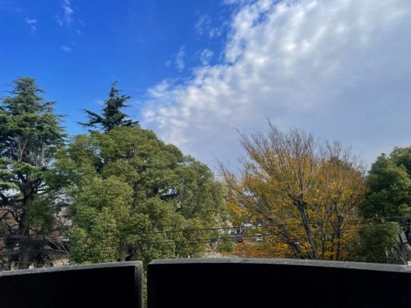 leopalace Patio View