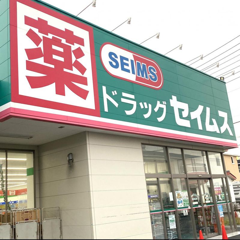 LEONEXT Shinkawa 주변 환경