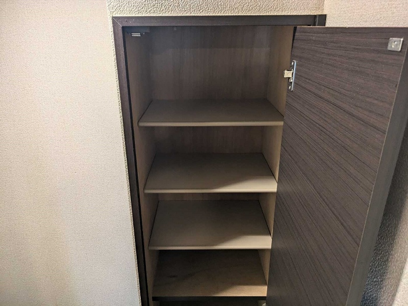 レオネクストライネ その他