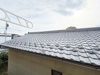 leopalace Tabu no Ki 전망