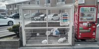 レオパレス南若園Ａ 共用部分