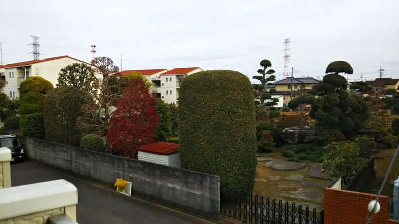 レオネクストサンタ 眺望