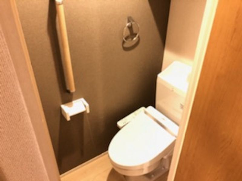 CLEINO T Shirasagi Toilet