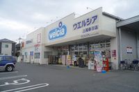 レオネクストマグノリア 周辺環境