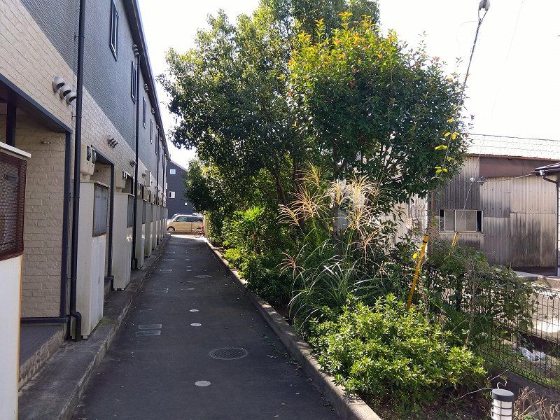 レオパレスサンフラワーⅢ エントランス