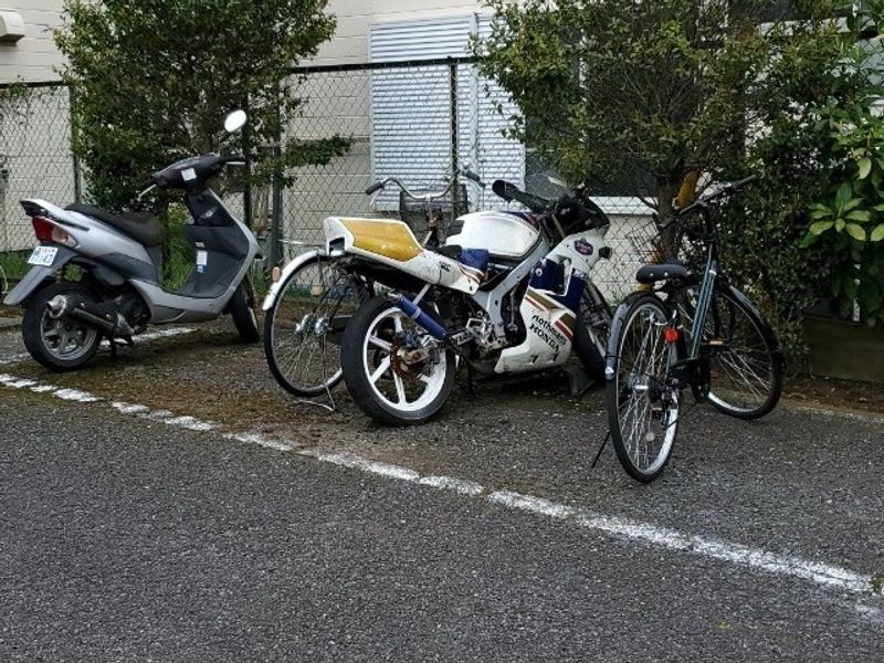 レオパレスヴェネツィア 共用部分