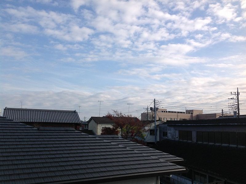 レオパレス通５丁目 眺望
