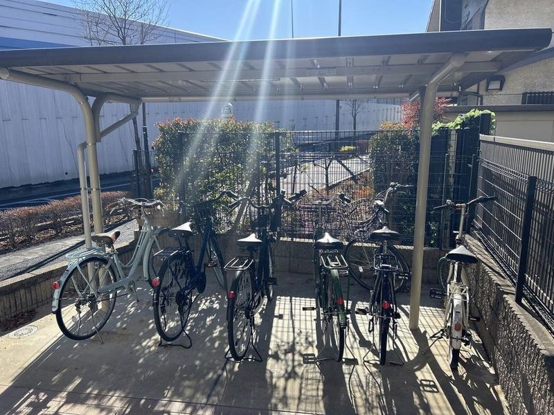 CLEINO Chat Blanc Petit 공용 부분