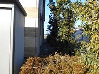 レオパレスクローバー 庭