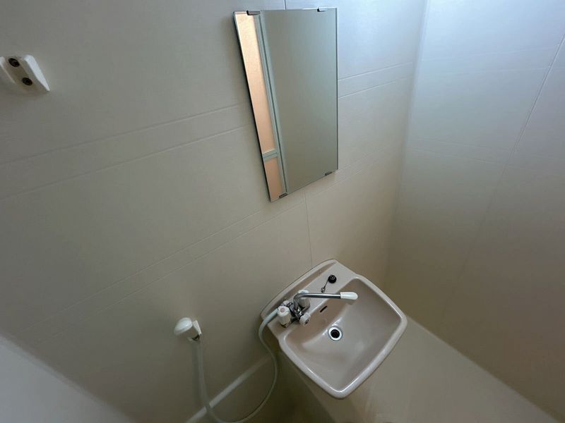 LEONEXT Grape Hill C 洗手台