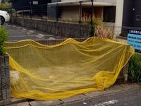 レオパレス泉弐番館 共用部分
