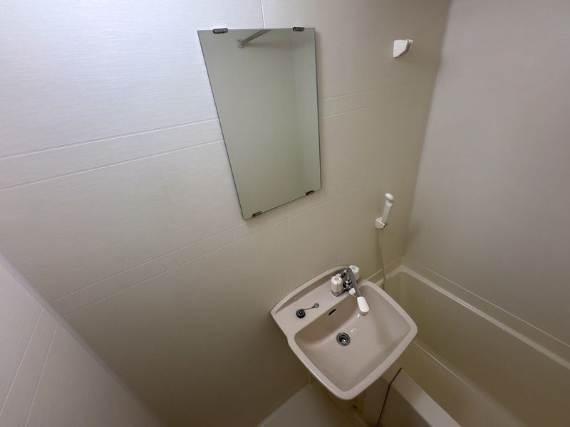 leopalace Kirschbaum 洗手台