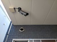 レオネクストシェソワ 共用部分