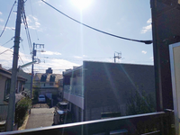 LEONEXT Ado View