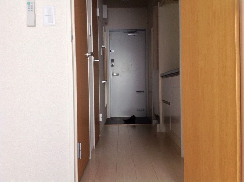 クレイノエレガンテⅢ その他