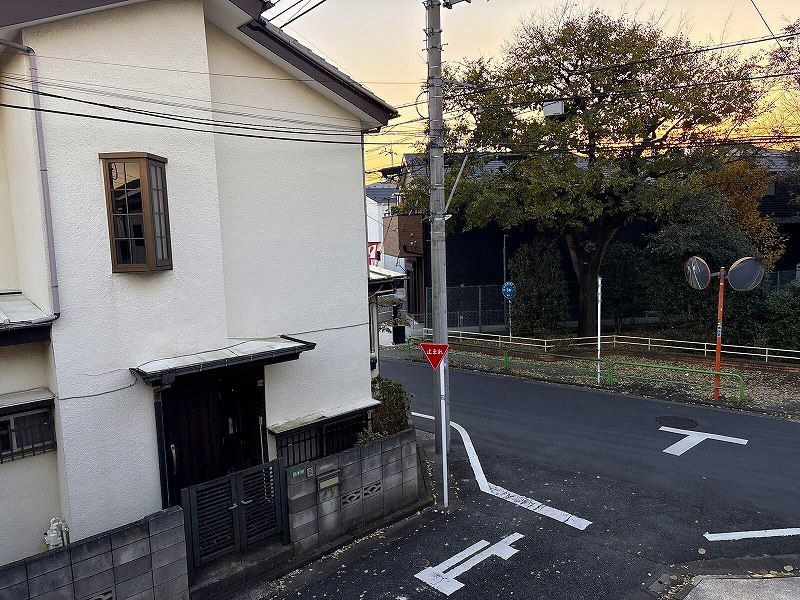 LEONEXT Joy Azalea II 视野