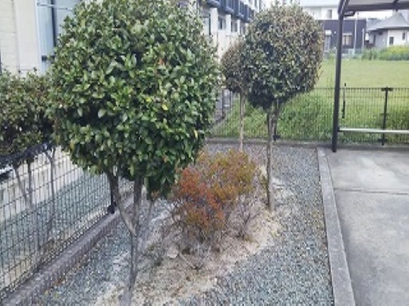 レオパレステラス花みずき その他