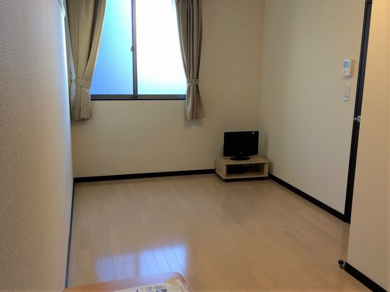 レオネクストラサ その他