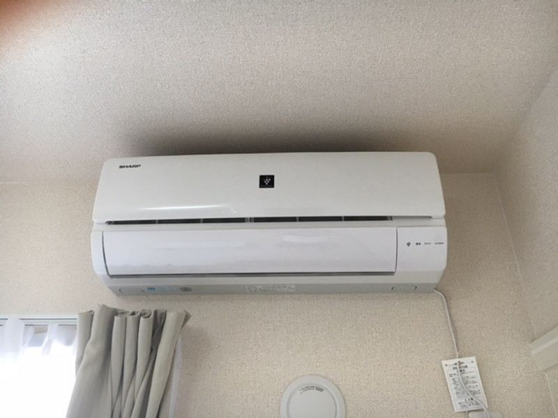 レオネクストラッポラ その他