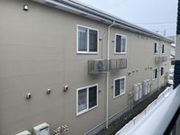 LEONEXT Silvian 视野