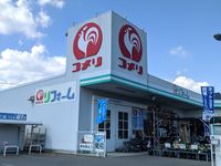 レオネクストセレーノ 周辺環境
