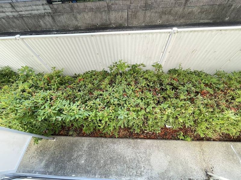 レオパレスＳＯＰＨＩＡ バルコニー