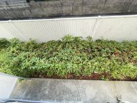 レオパレスＳＯＰＨＩＡ バルコニー