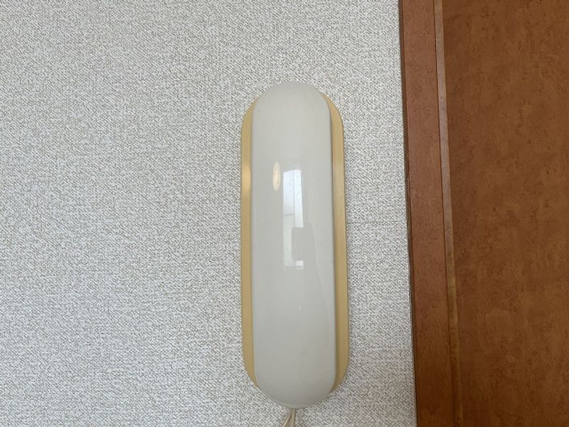 レオパレスマイス その他