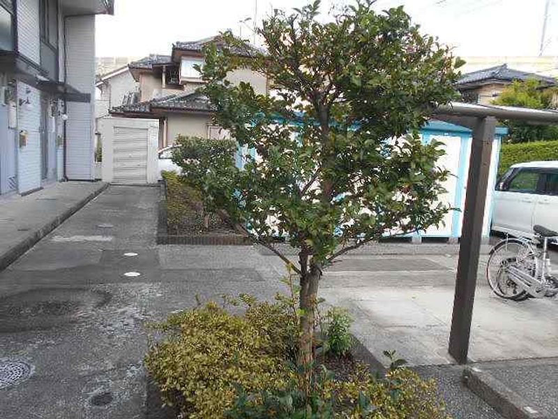レオパレスピュアベリー 共用部分