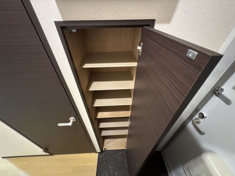 CLEINO Sunrise III 기타