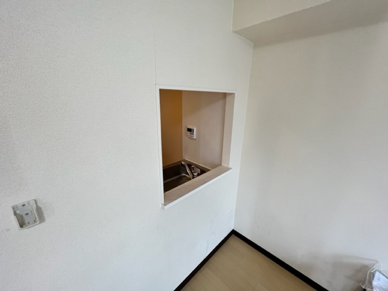 レオネクストソラーナ その他