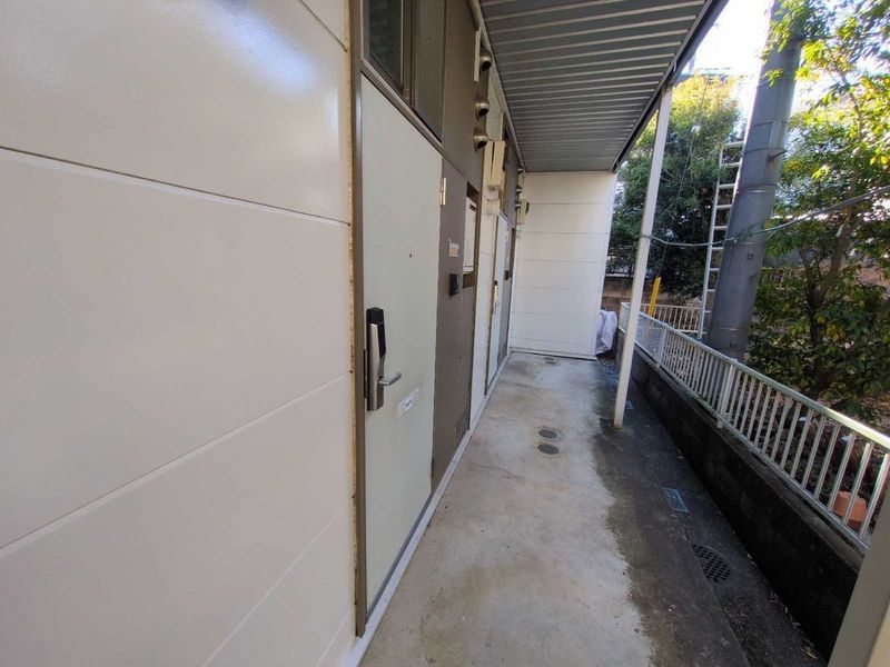 leopalace Lupinus 其他