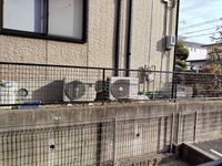 LEONEXT Sho 15 视野