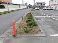 レオパレス高見０３ 庭