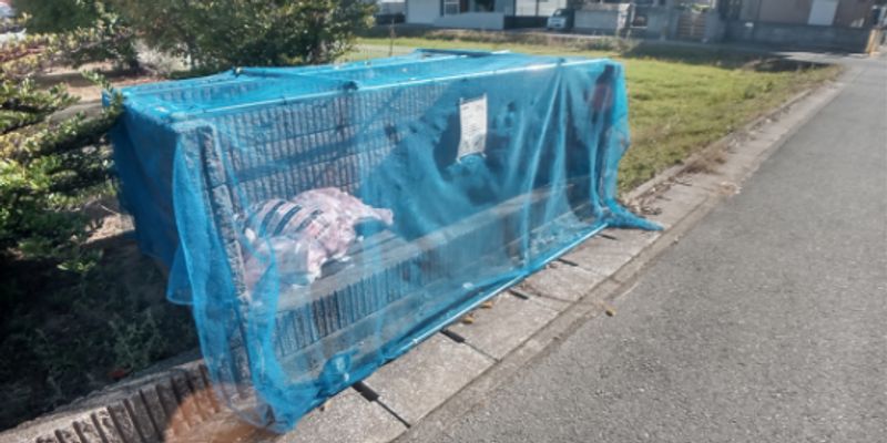 レオパレスＧＲＡＺＩＡ 共用部分