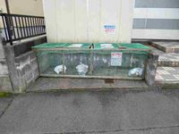 レオパレス新地 共用部分