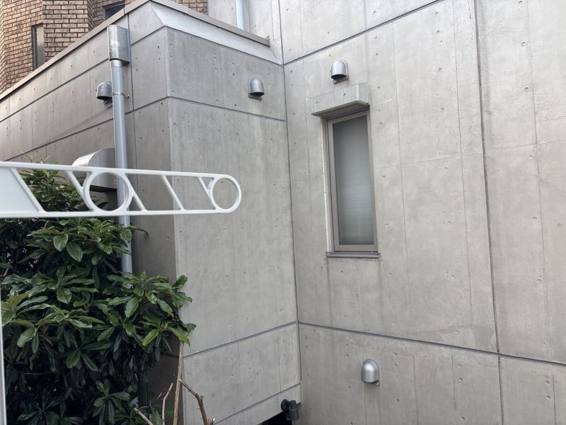 leopalace Sunflower A 视野