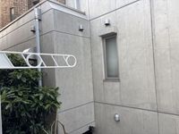 leopalace Sunflower A 视野